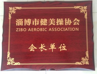 淄博市健美操协会会长单位