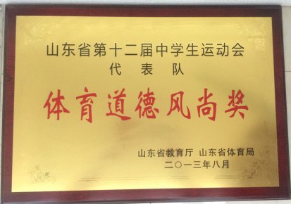 山东省体育道德风尚奖