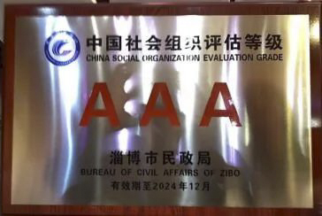 3A(AAA)等级社会组织